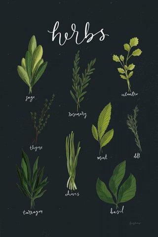 Herbs I Black White Modern Wood Framed Art Print with Double Matting by Thorns, Becky