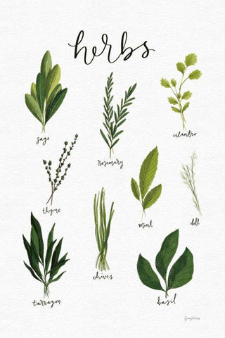 Herbs I White Black Ornate Wood Framed Art Print with Double Matting by Thorns, Becky