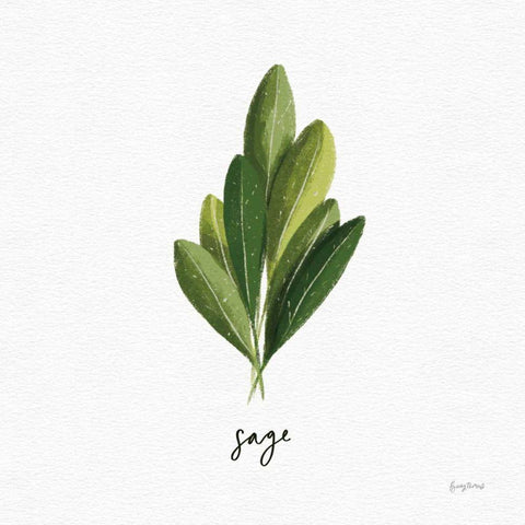 Herbs II White Black Modern Wood Framed Art Print with Double Matting by Thorns, Becky