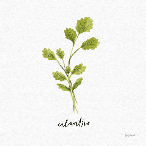 Herbs IV White Black Modern Wood Framed Art Print by Thorns, Becky