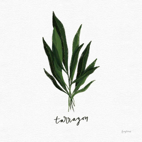 Herbs V White White Modern Wood Framed Art Print with Double Matting by Thorns, Becky
