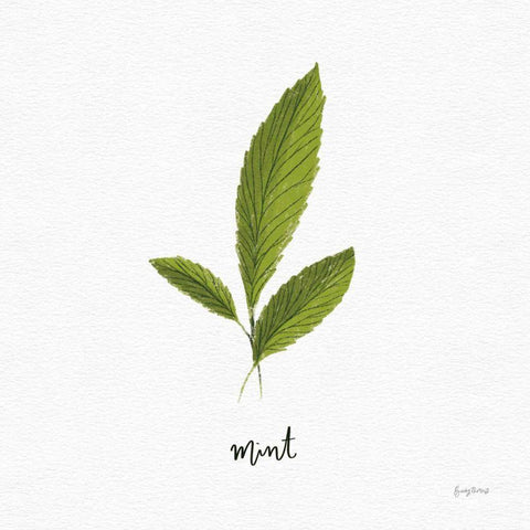Herbs VII White White Modern Wood Framed Art Print with Double Matting by Thorns, Becky
