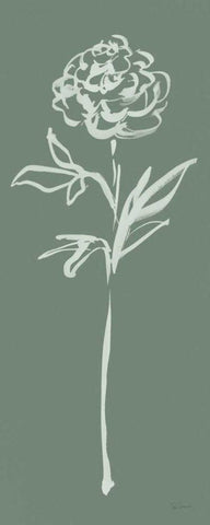 Floral Line II Green White Modern Wood Framed Art Print with Double Matting by Schlabach, Sue
