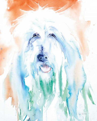 Sheep Dog White Modern Wood Framed Art Print with Double Matting by Valle, Aimee Del