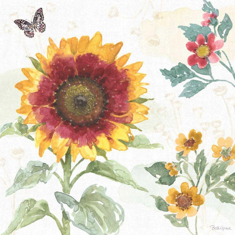 Sunflower Splendor VII Gold Ornate Wood Framed Art Print with Double Matting by Grove, Beth