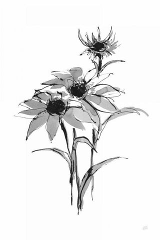 Wash Echinacea I Black Ornate Wood Framed Art Print with Double Matting by Paschke, Chris