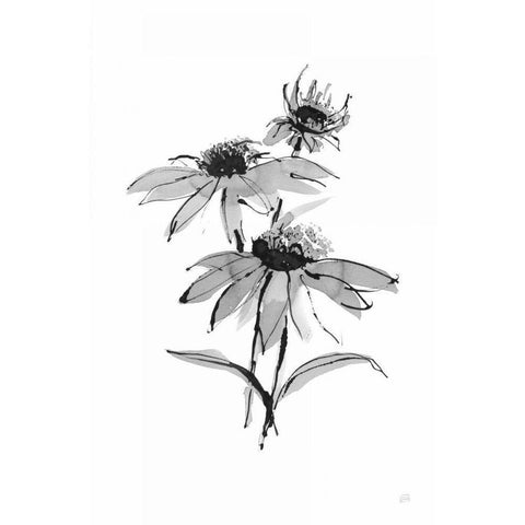 Wash Echinacea II Gold Ornate Wood Framed Art Print with Double Matting by Paschke, Chris