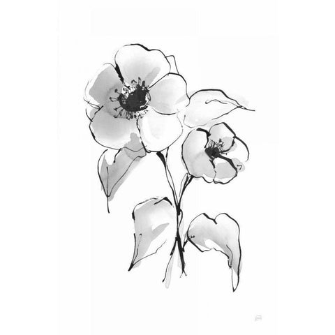 Wash Poppy I White Modern Wood Framed Art Print by Paschke, Chris