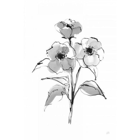 Wash Poppy II Black Modern Wood Framed Art Print by Paschke, Chris