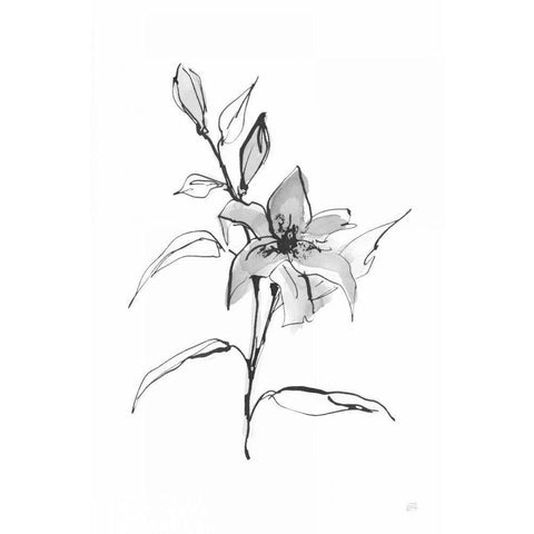 Wash Tiger Lily Black Modern Wood Framed Art Print by Paschke, Chris