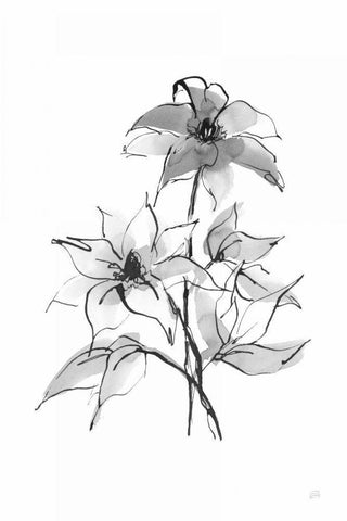 Wash Clematis Black Ornate Wood Framed Art Print with Double Matting by Paschke, Chris