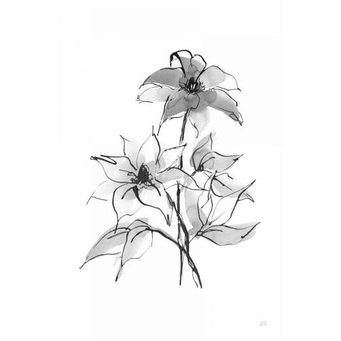 Wash Clematis White Modern Wood Framed Art Print by Paschke, Chris