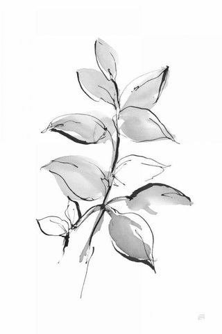 Wash Leaf I White Modern Wood Framed Art Print with Double Matting by Paschke, Chris