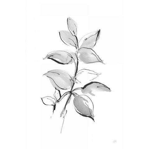 Wash Leaf I Black Modern Wood Framed Art Print with Double Matting by Paschke, Chris