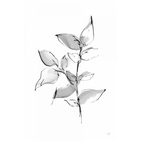 Wash Leaf II Black Modern Wood Framed Art Print by Paschke, Chris