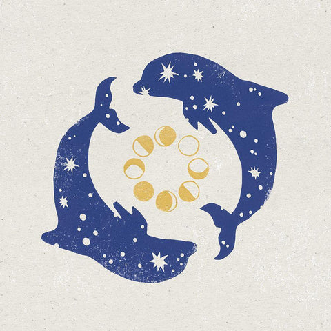 Star Dolphins White Modern Wood Framed Art Print with Double Matting by Hershey, Moira