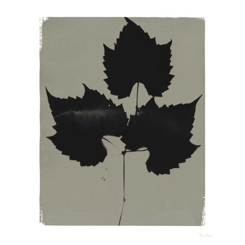 Nature by the Lake Leaves I Gray Gold Ornate Wood Framed Art Print with Double Matting by Rhue, Piper