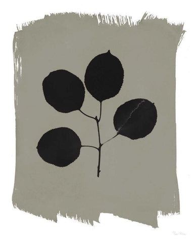 Nature by the Lake Leaves II Gray White Modern Wood Framed Art Print with Double Matting by Rhue, Piper