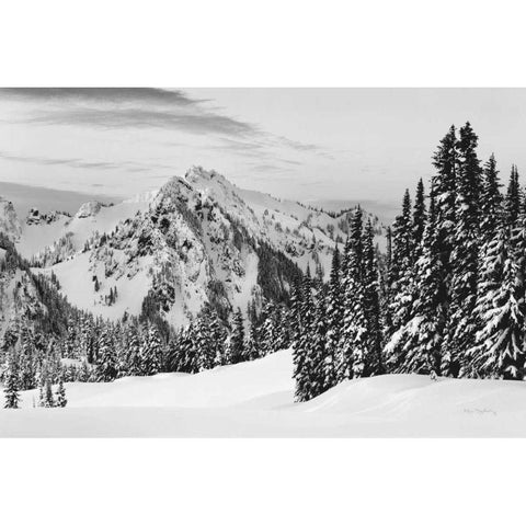 Tatoosh Range BW Black Modern Wood Framed Art Print with Double Matting by Majchrowicz, Alan