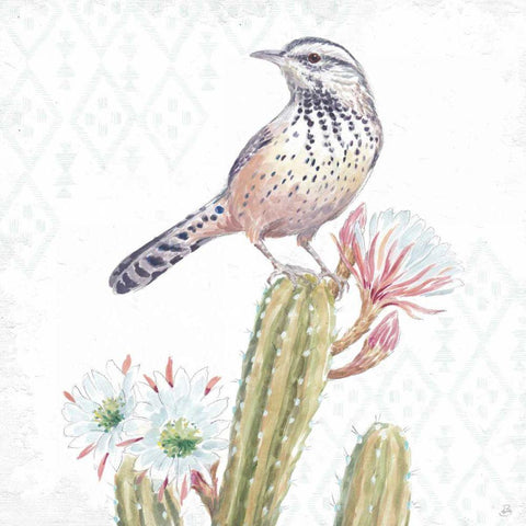 Desert Beauties XIII White Modern Wood Framed Art Print with Double Matting by Brissonnet, Daphne