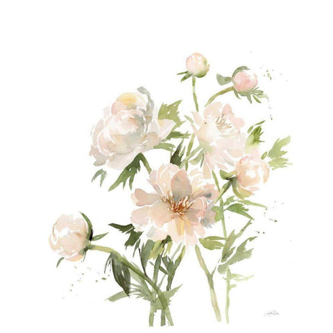 Peonies II Gold Ornate Wood Framed Art Print with Double Matting by Pete, Katrina