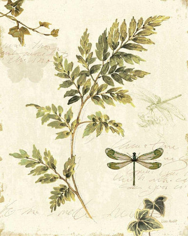 Ivies and Ferns III Black Ornate Wood Framed Art Print with Double Matting by Audit, Lisa