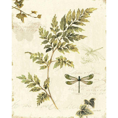 Ivies and Ferns III Black Modern Wood Framed Art Print by Audit, Lisa