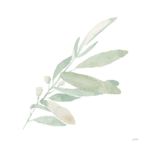 Sage I Black Modern Wood Framed Art Print with Double Matting by Pete, Katrina