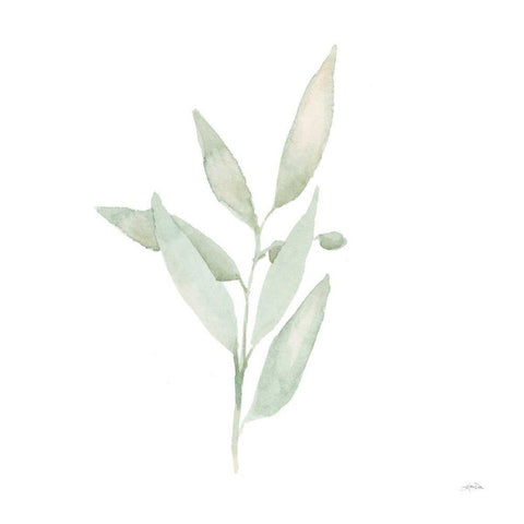Sage II Black Modern Wood Framed Art Print by Pete, Katrina