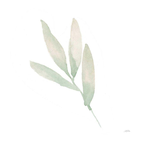 Sage III Black Modern Wood Framed Art Print by Pete, Katrina