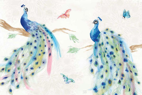 Peacock Glory I Black Ornate Wood Framed Art Print with Double Matting by June, Dina