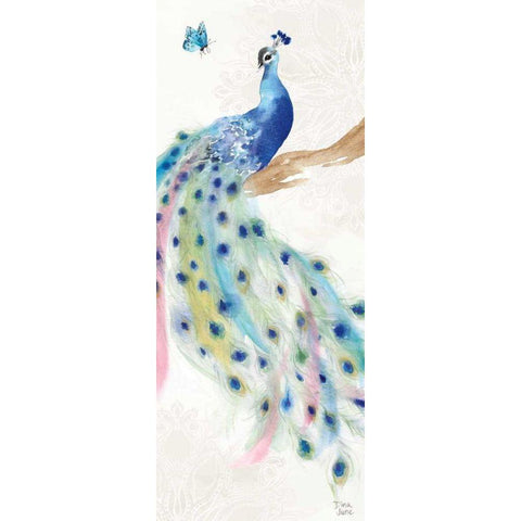 Peacock Glory II Gold Ornate Wood Framed Art Print with Double Matting by June, Dina