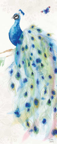 Peacock Glory III White Modern Wood Framed Art Print with Double Matting by June, Dina