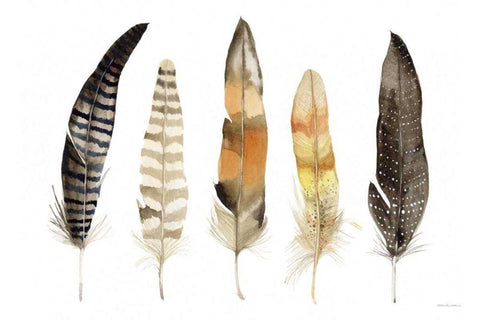 Natural Feathers White Modern Wood Framed Art Print with Double Matting by McKenna, Kathleen Parr