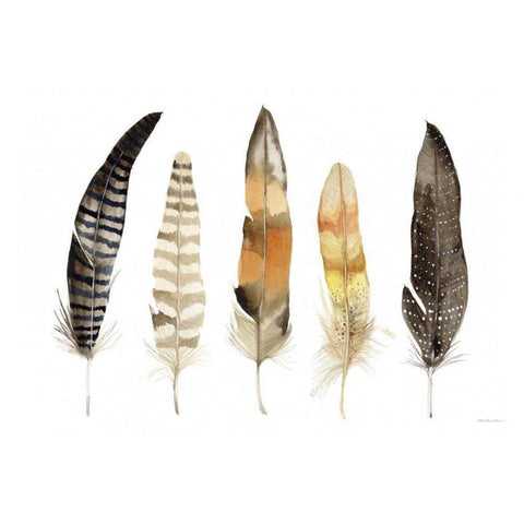 Natural Feathers Gold Ornate Wood Framed Art Print with Double Matting by McKenna, Kathleen Parr