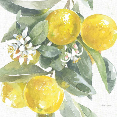 Citrus Charm Lemons I Gold Ornate Wood Framed Art Print with Double Matting by Grove, Beth