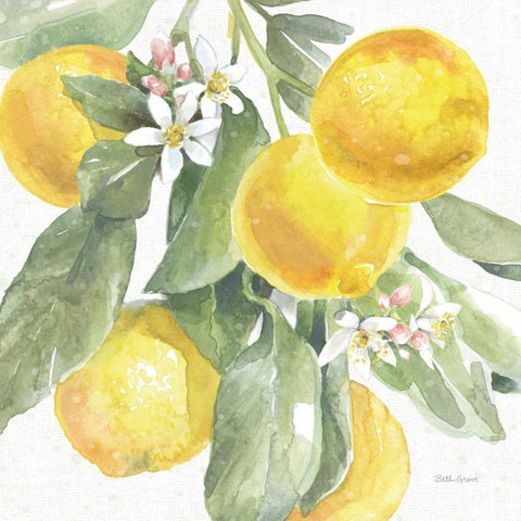 Citrus Charm Lemons II Gold Ornate Wood Framed Art Print with Double Matting by Grove, Beth