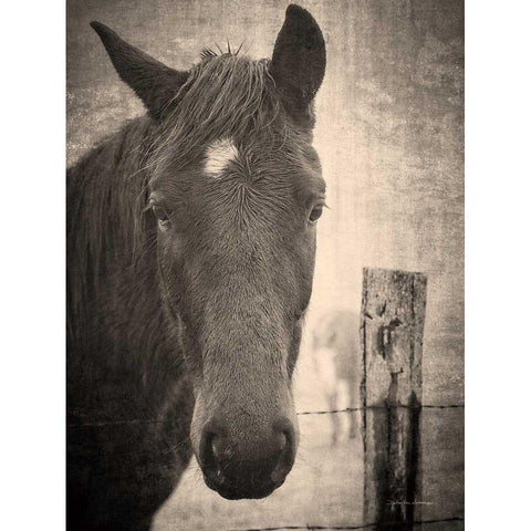 Heres Looking at You I Gold Ornate Wood Framed Art Print with Double Matting by Van Swearingen, Debra