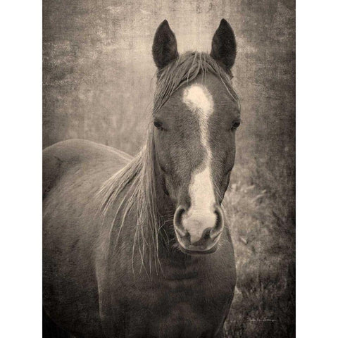 Heres Looking at You II Gold Ornate Wood Framed Art Print with Double Matting by Van Swearingen, Debra