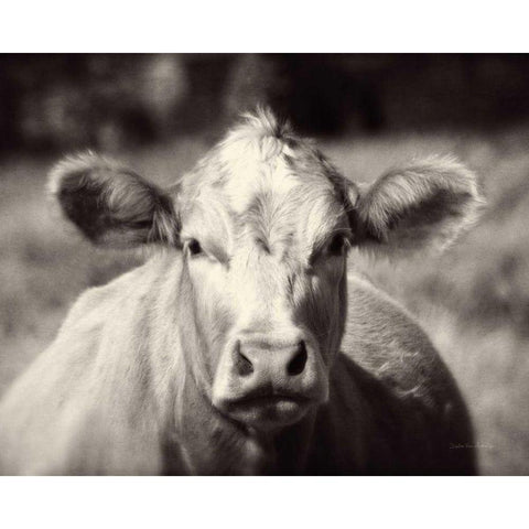 Pasture Cow Gold Ornate Wood Framed Art Print with Double Matting by Van Swearingen, Debra