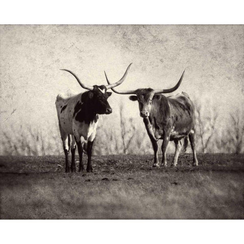 Texas Longhorns Gold Ornate Wood Framed Art Print with Double Matting by Van Swearingen, Debra