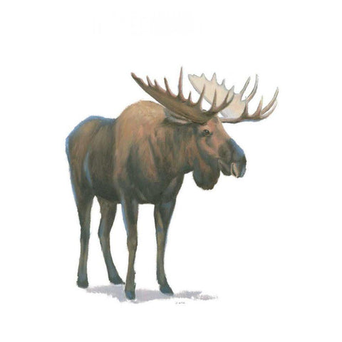 Northern Wild VI Black Modern Wood Framed Art Print by Wiens, James