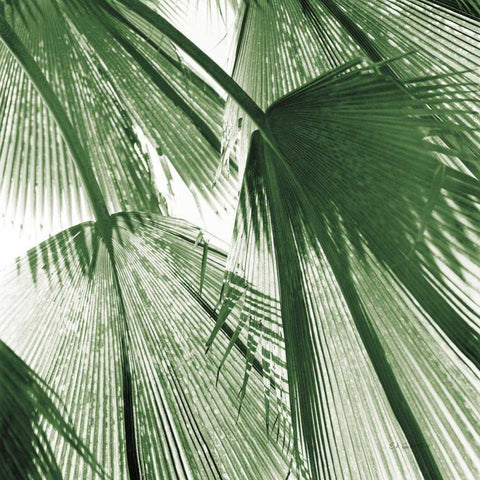 Leaf Abstract III Green Black Ornate Wood Framed Art Print with Double Matting by Goldstein, Ed