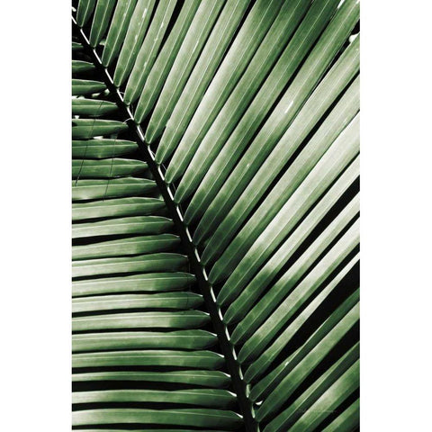 Palm Frond I Green Gold Ornate Wood Framed Art Print with Double Matting by Van Swearingen, Debra