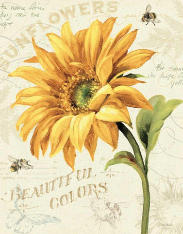 Under the Sun II Black Ornate Wood Framed Art Print with Double Matting by Audit, Lisa