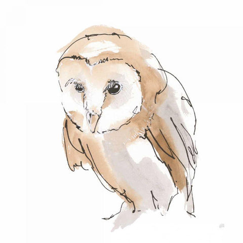 Barn Owl I Gold Ornate Wood Framed Art Print with Double Matting by Paschke, Chris