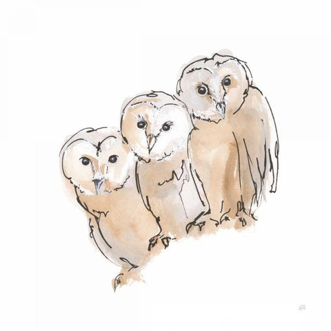 Barn Owl III Black Modern Wood Framed Art Print with Double Matting by Paschke, Chris