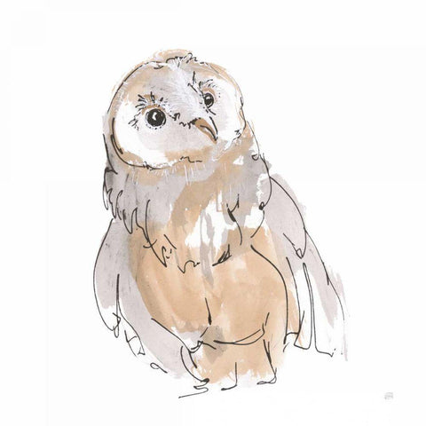 Barn Owl V Black Modern Wood Framed Art Print by Paschke, Chris