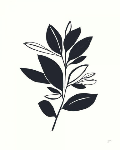 Bay Leaves II White Modern Wood Framed Art Print with Double Matting by Panganiban, Karyn