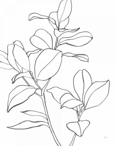 Magnolia Branch I White Modern Wood Framed Art Print with Double Matting by Panganiban, Karyn